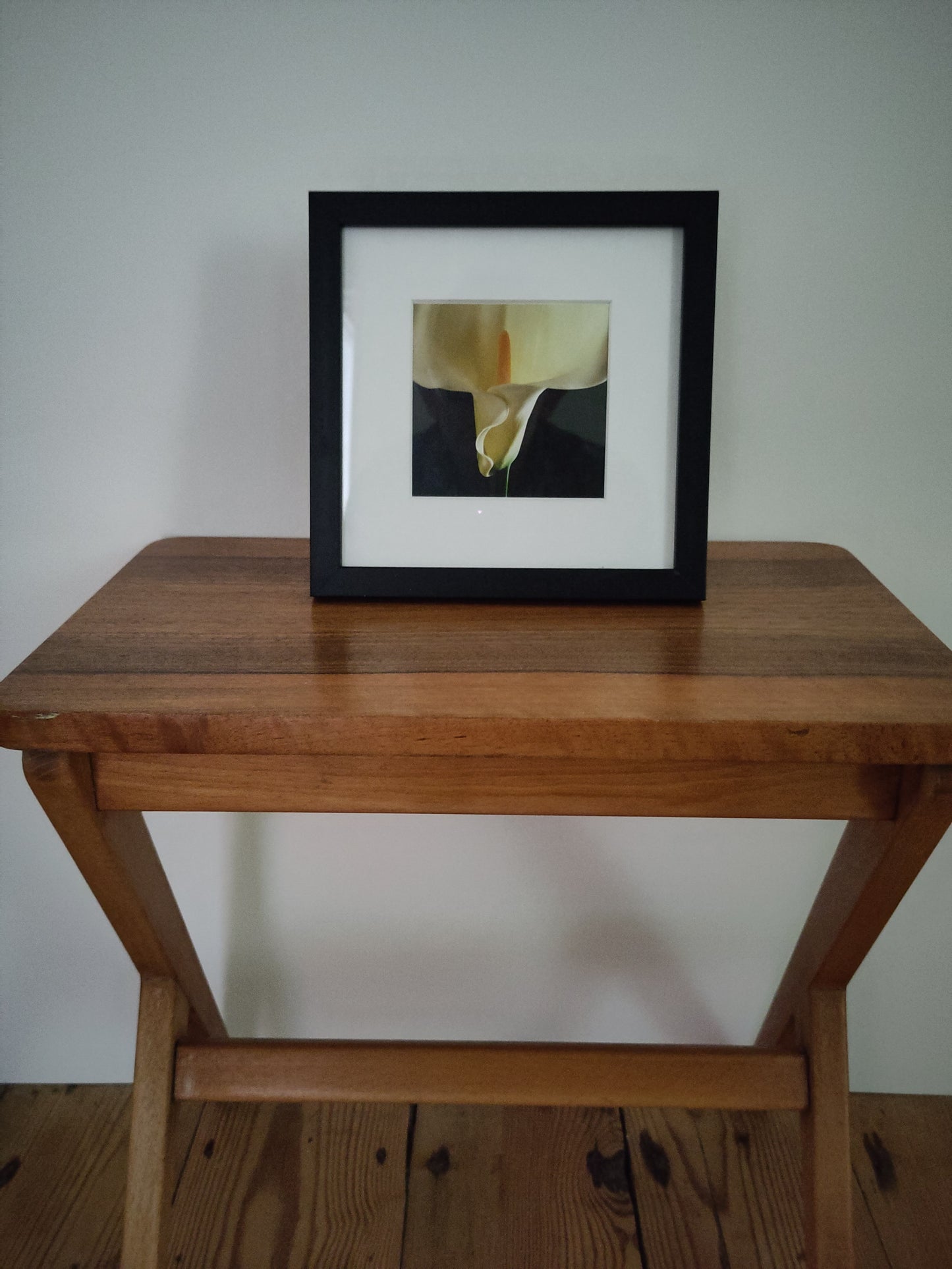 Robert Mapplethorpe - Iris (Colour)