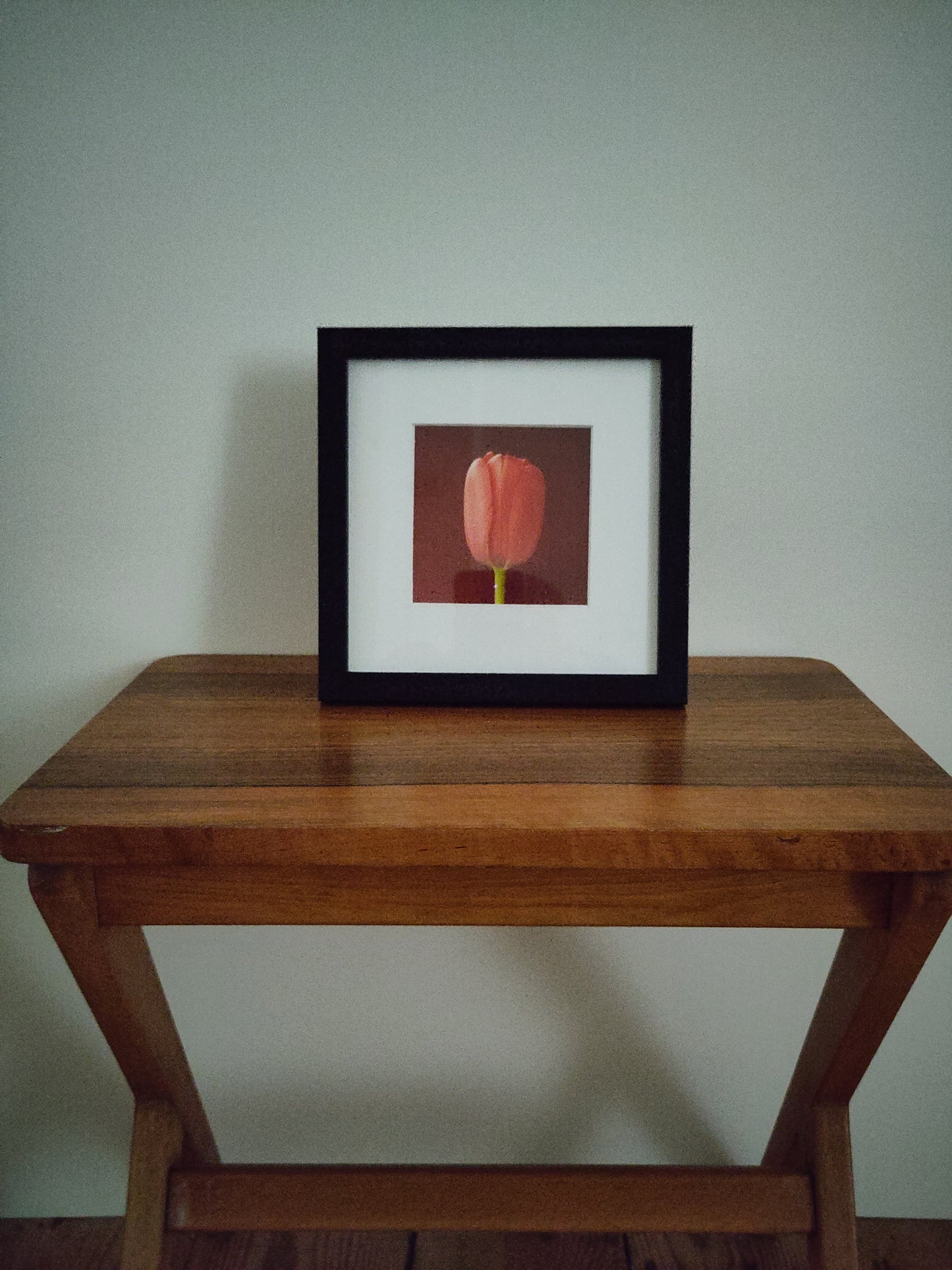 Robert Mapplethorpe - Tulip (Colour)