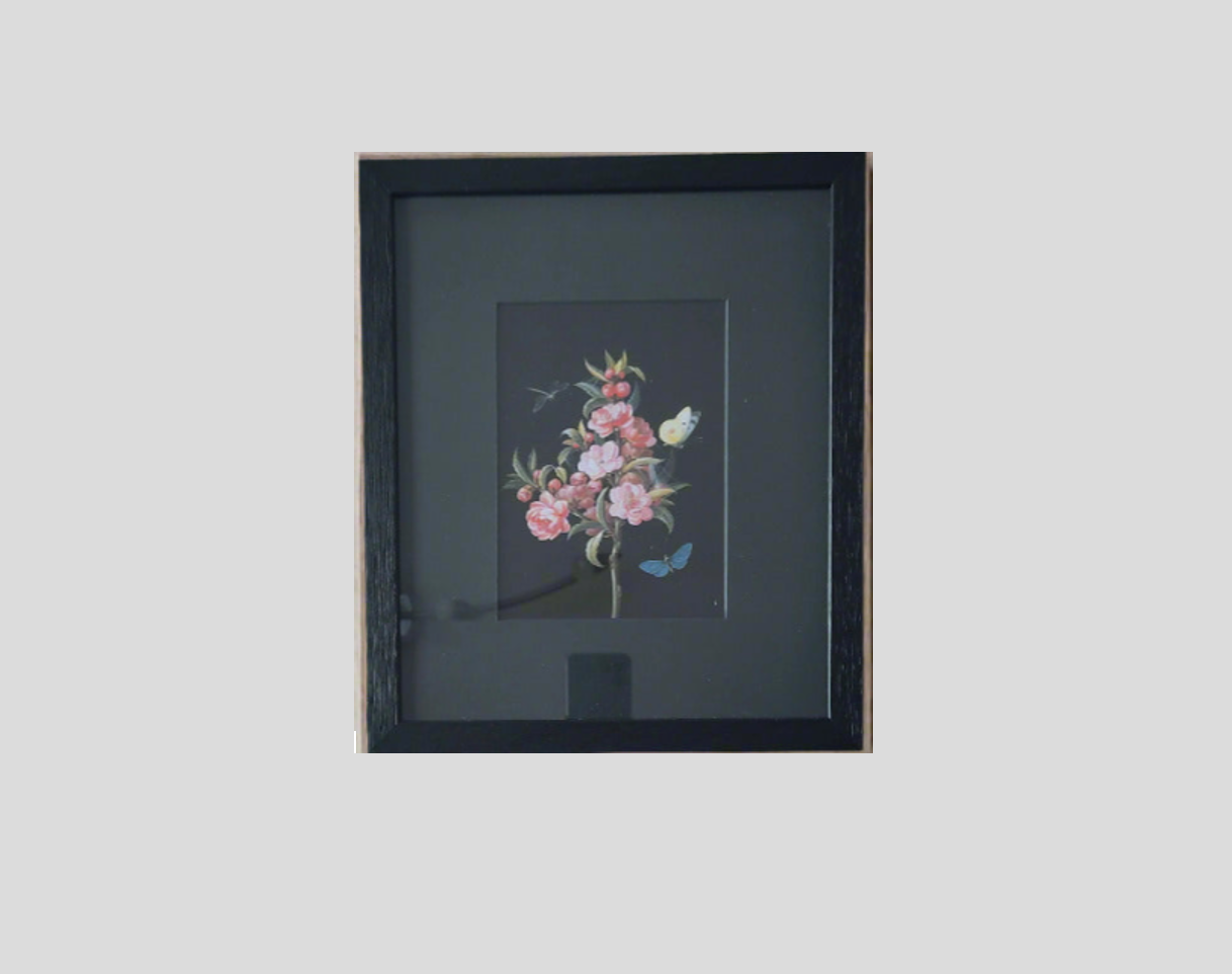 Barbara Regina Dietschz - Japanese quince (or cherry) with dragon-fly and butterflies