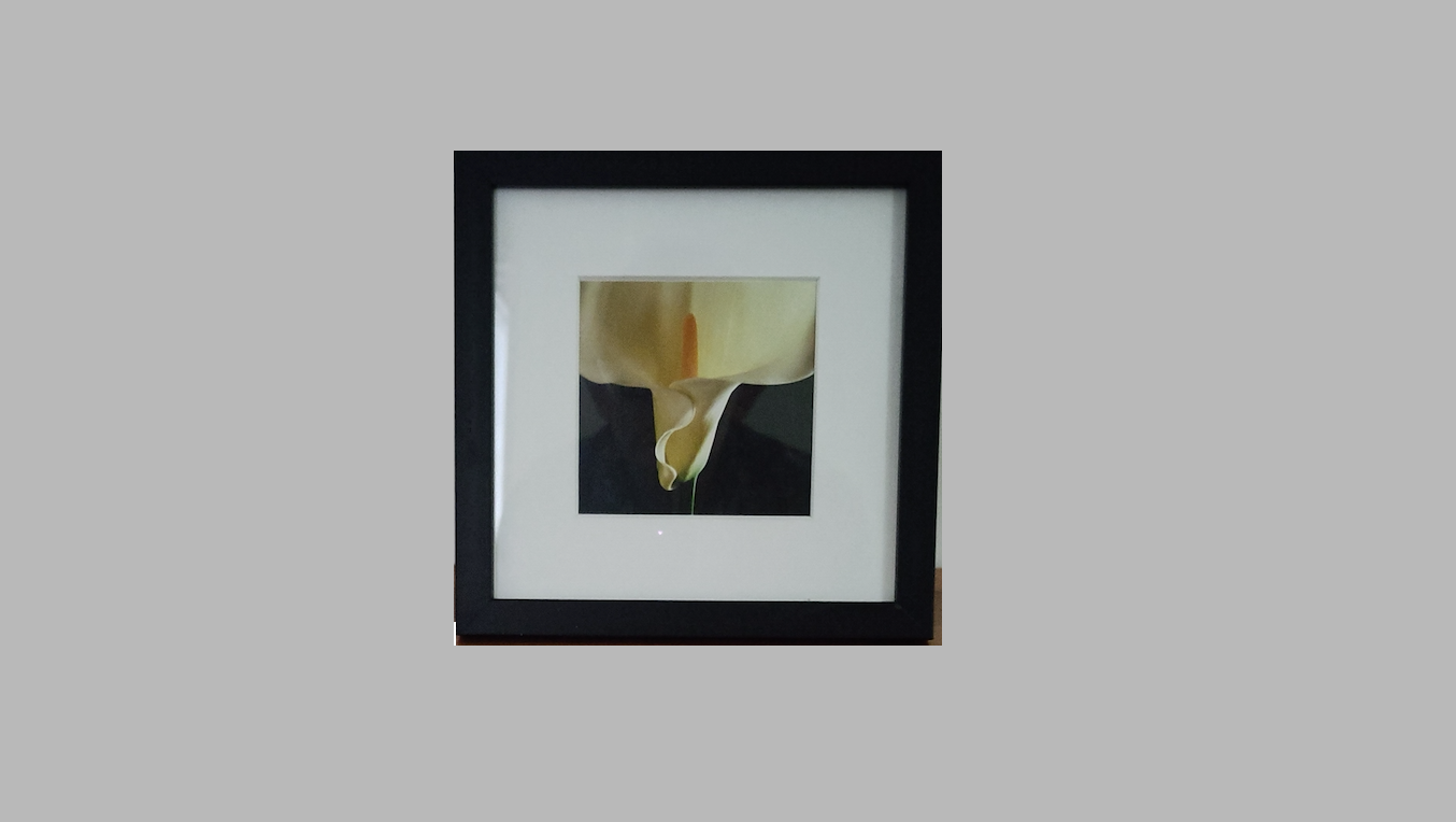 Robert Mapplethorpe - Iris (Colour)