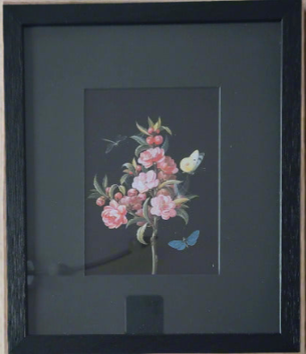Barbara Regina Dietschz - Japanese quince (or cherry) with dragon-fly and butterflies