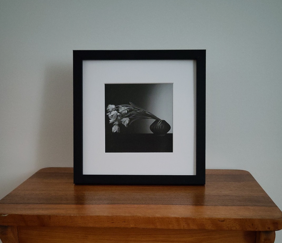 Robert Mapplethorpe - Tulips