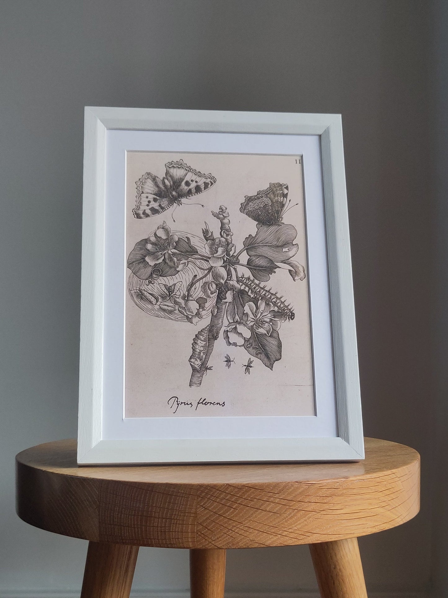 Painted Solid Wood Frame
