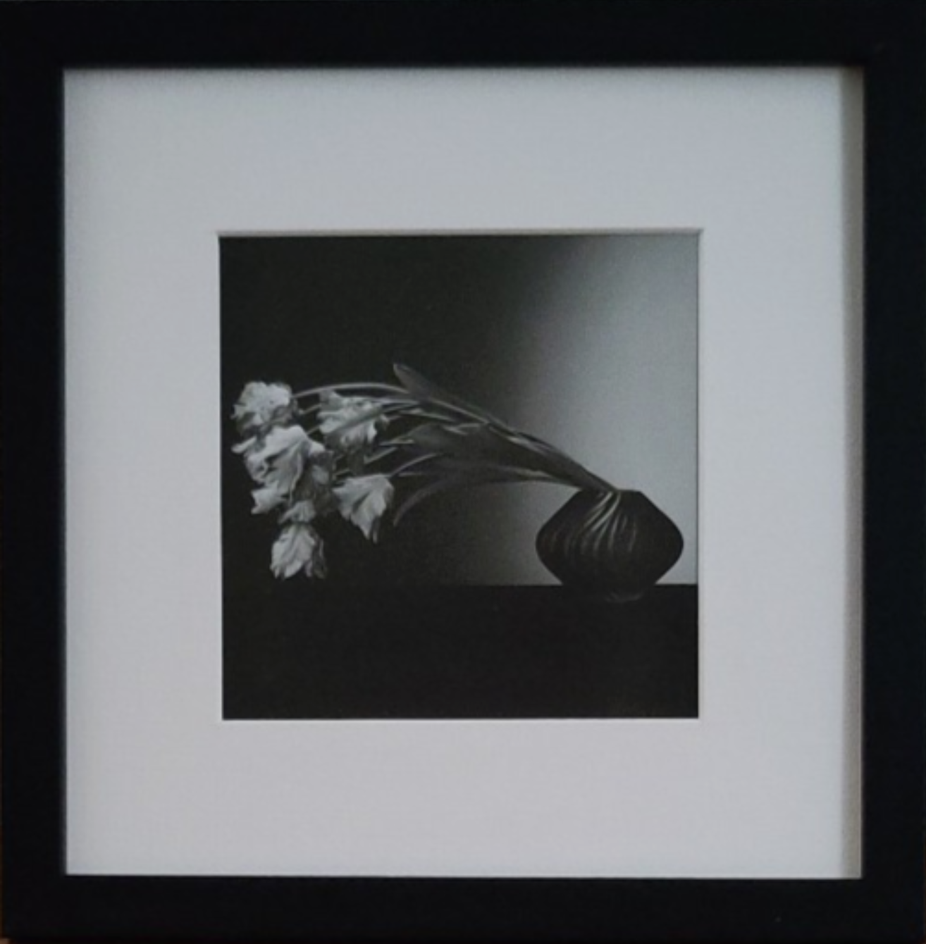 Painted Solid Wood Frame