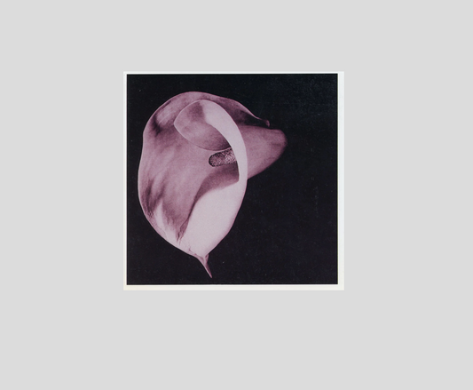 Prints: Suites and Series Exhibition Announcement Card